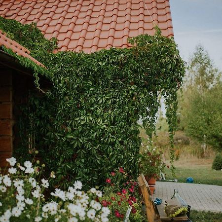Dom Goscinny Sowia Stopka Miłomłyn Dış mekan fotoğraf